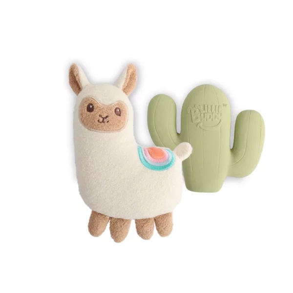 AFP Little Buddy 2-pack - Fiesta