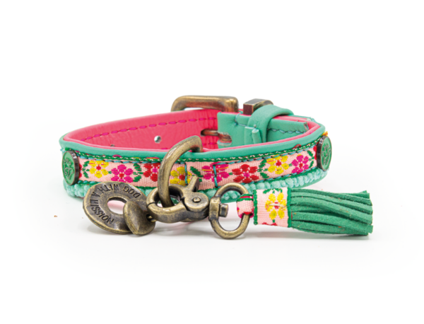 DWAM Halsband Minidog Bella (XXXS)