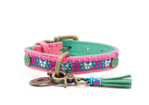 DWAM Halsband Minidog Molly (XXXS)